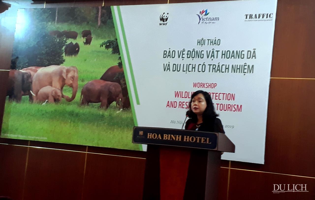 Phó Tổng cục trưởng Tổng cục Du lịch Nguyễn Thị Thanh Hương phát biểu tại hội thảo